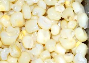 1 Large Ear (7-3/4" To 9" Long) Cooked White Corn (from Fresh, Fat Not Added in Cooking)