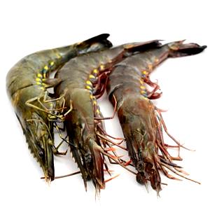 1 Large (shelled) Prawns