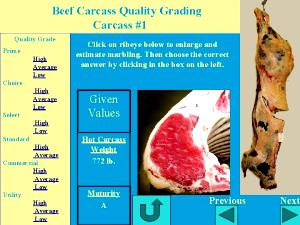 1 Lb Beef Carcass (Select Grade)