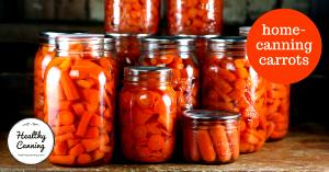 1 Lb Carrots (Solids and Liquids, Canned)