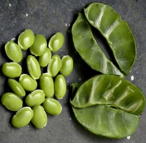 1 Lb Cowpeas (Leafy Tips, with Salt, Drained, Cooked, Boiled)