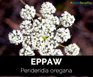 1 Lb Eppaw