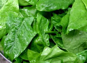 1 Lb Spinach (Chopped or Leaf Frozen, with Salt, Drained, Cooked, Boiled)