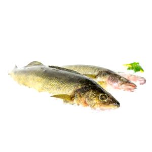 1 Lb Walleye Pike (Fish) (Cooked, Dry Heat)