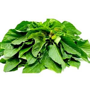 1 Leaf Amaranth Leaves