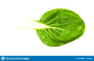 1 Leaf Chinese Cabbage (Bok-Choy, Pak-Choi)