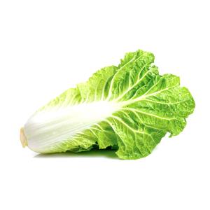 1 Leaf Chinese Cabbage