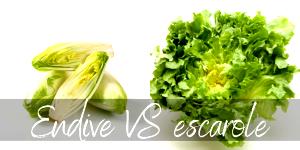 1 Leaf, Endive Endive, Chicory, Escarole or Romaine Lettuce