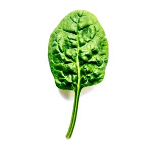 1 Leaf Spinach