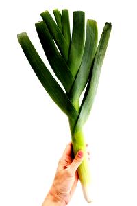 1 Leek Leeks