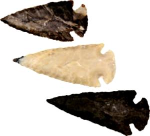 1 Medium Arrowhead