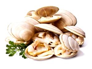 1 Medium Clams (Mixed Species)