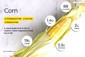 1 Medium Ear (6-3/4" To 7-1/2" Long) Cooked Corn (Fat Not Added in Cooking)