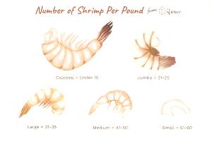 1 Medium Shrimp