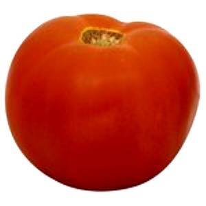 1 Medium Whole (2-3/5" Dia) Red Tomatoes