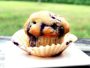 1 muffin Blueberry Muffin