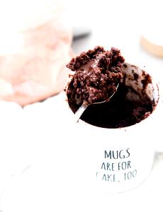 1 Mug Mug Cake