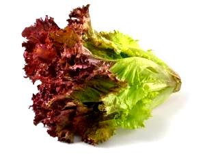 1 NLEA Serving Red Leaf Lettuce