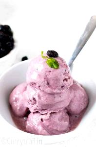 1 oz (28 g) Blueberry Frozen Yogurt