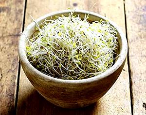 1 oz (28 g) Organic Alfalfa Sprouts