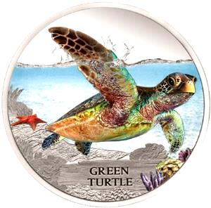 1 Oz. (28.3 G) Green Turtle, raw