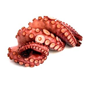 1 Oz Boneless Steamed Octopus