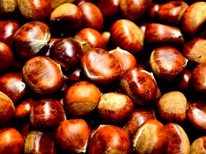 1 Oz Chestnut, Chinese, Boiled & Steamed