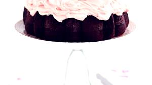 1 Oz Chocolate Chiffon Cake with Icing