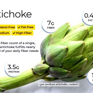 1 Oz Cooked Artichoke (Fat Added in Cooking)