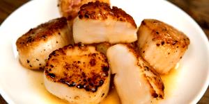 1 Oz Cooked Scallops