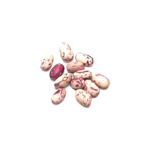 1 Oz Cranberry (Roman) Beans (Mature Seeds, Canned))