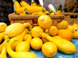 1 Oz Crookneck and Straightneck Summer Squash (Drained, Solid, Without Salt, Cooked, Boiled)