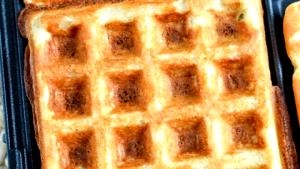 1 Oz Fat Free Plain Waffle