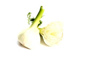 1 Oz Fennel Bulb