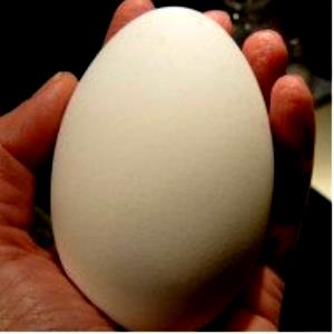 1 Oz Goose Egg