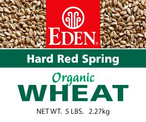 1 Oz Hard Red Spring Wheat