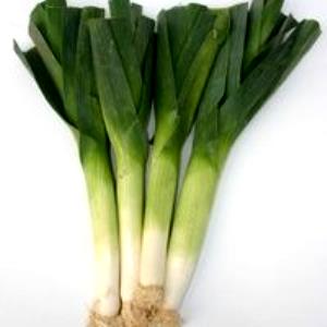 1 Oz Leeks (Bulb and Lower Leaf-Portion) (Without Salt, Drained, Cooked, Boiled)