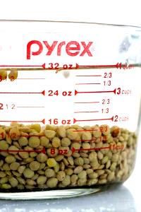 1 Oz Lentils