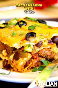 1 Oz Mexican Lasagna