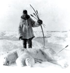 1 Oz Polar Bear Meat (Alaska Native)