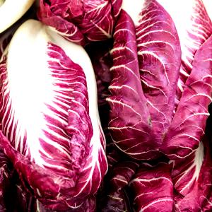 1 Oz Radicchio