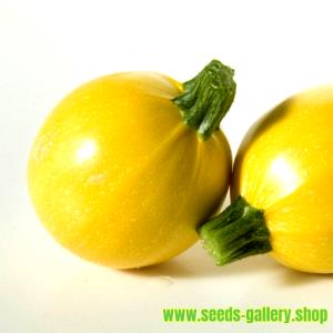 1 Oz, Raw, Yields Yellow Summer Squash