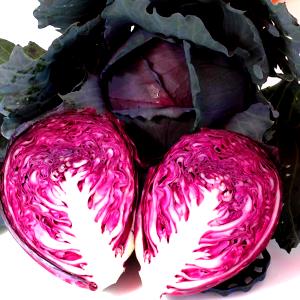 1 Oz Red Cabbage