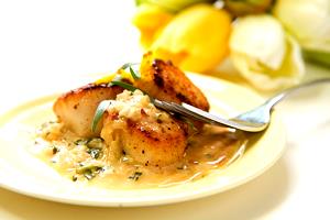 1 Oz Scallops with Cheese Sauce (Mixture)