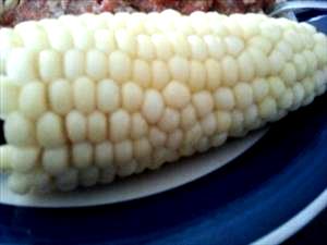 1 Oz White Sweet Corn (Kernels Cut Off Cob, Without Salt, Drained, Cooked, Boiled)