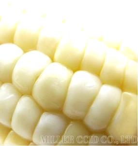 1 Oz White Sweet Corn (Vacuum Pack, Canned)