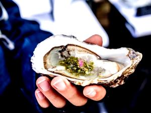 1 Oz Wild Eastern Oyster