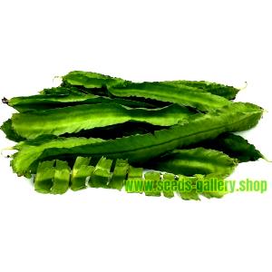 1 Oz Winged Beans (Mature Seeds, with Salt, Cooked, Boiled)