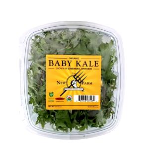 1 package (141 g) Organic Baby Kale