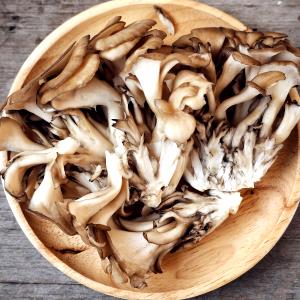 1 Piece (1.1 G) Maitake Mushrooms